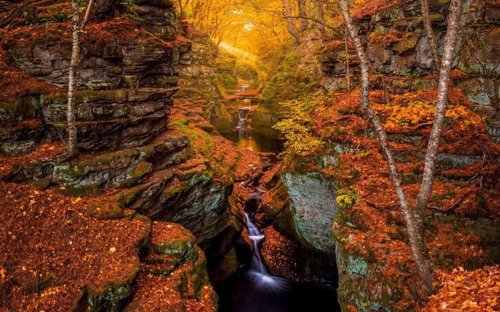 Autumn forest canyon with stream and waterfall