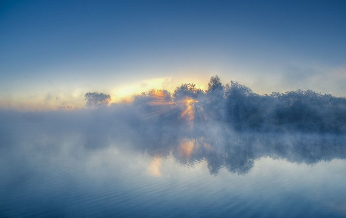 Sunrise over a misty river with trees