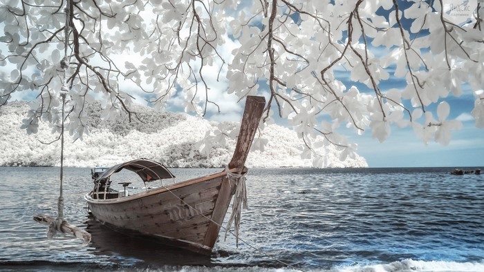 Boat on the ocean with a swing