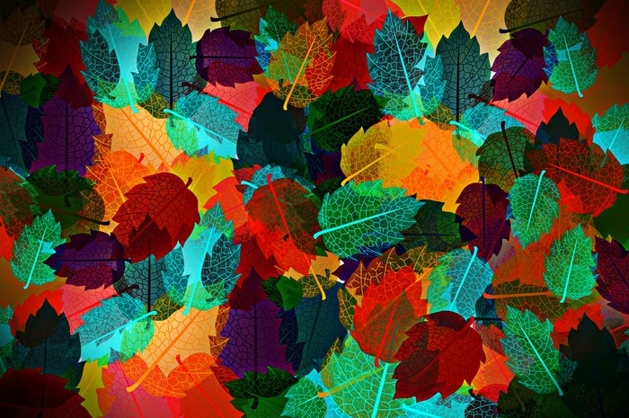 Vibrant Multicolored Autumn Leaves Pattern
