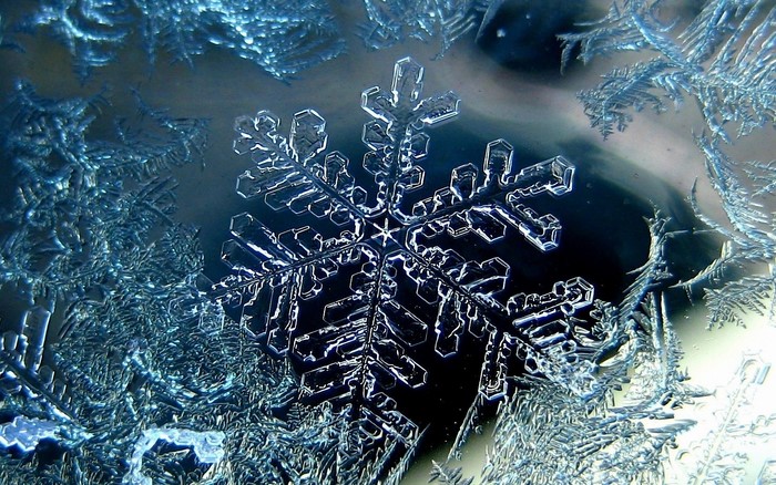 Close-up of a Snowflake on Earth