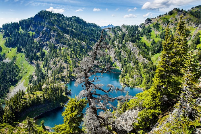 Mountain lake surrounded by evergreen forest under a blue sky
