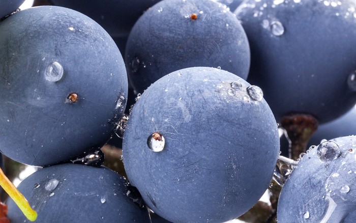 Close-up of Grapes with Water Droplets