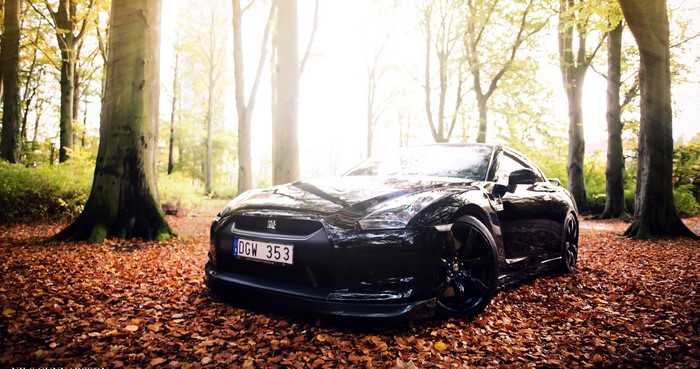 Black Nissan GT-R in Autumn Forest