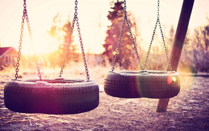 Two tire swings in a park at sunset