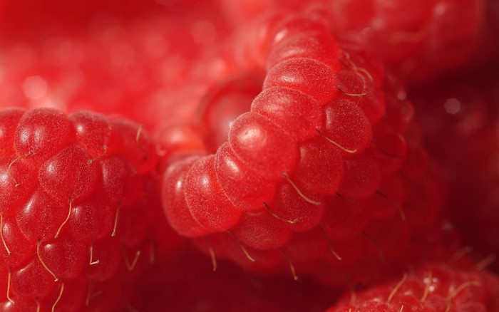 Close-up of red raspberries