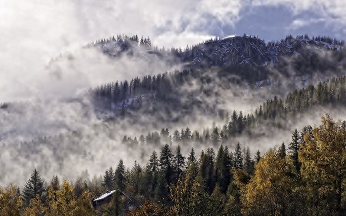 Misty Mountains and Forest with a Small House