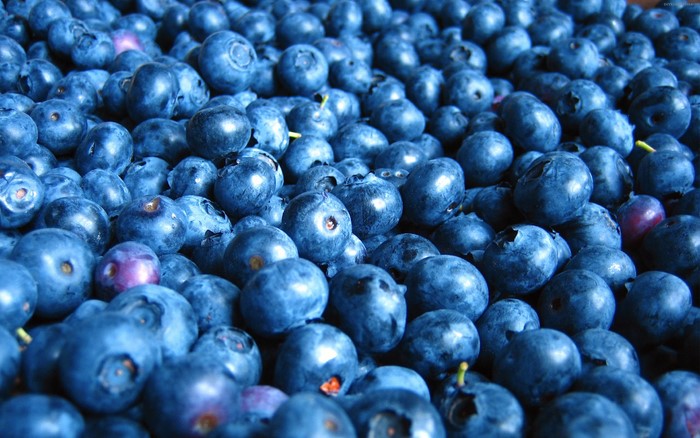 Close-up of fresh blueberries