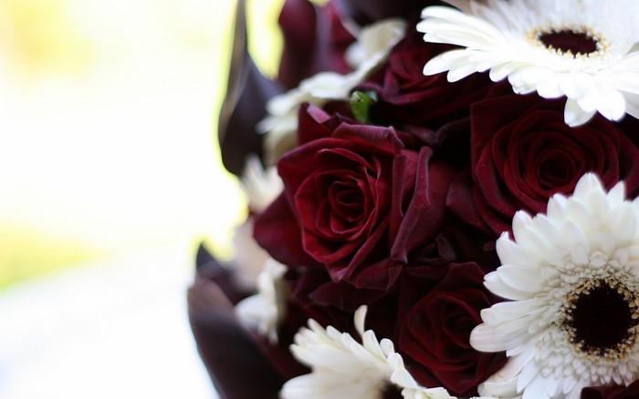 Dark Red Roses and White Gerbera Daisies Bouquet