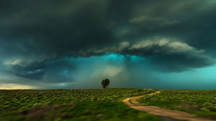 Stormy sky over a lonely tree and dirt road