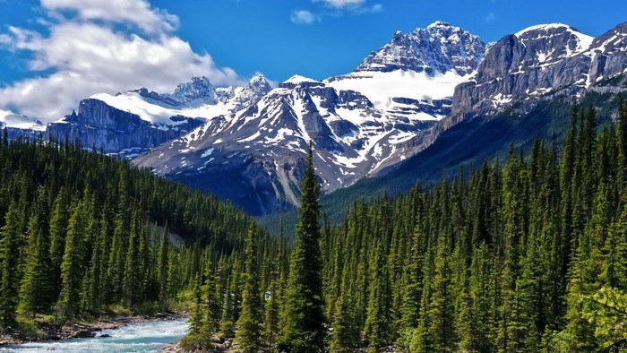 River flowing through a forest with snow-capped mountains