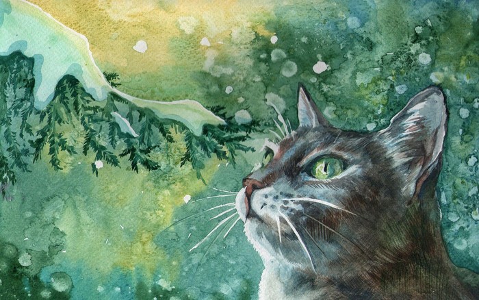 Cat looking at snowy pine branches