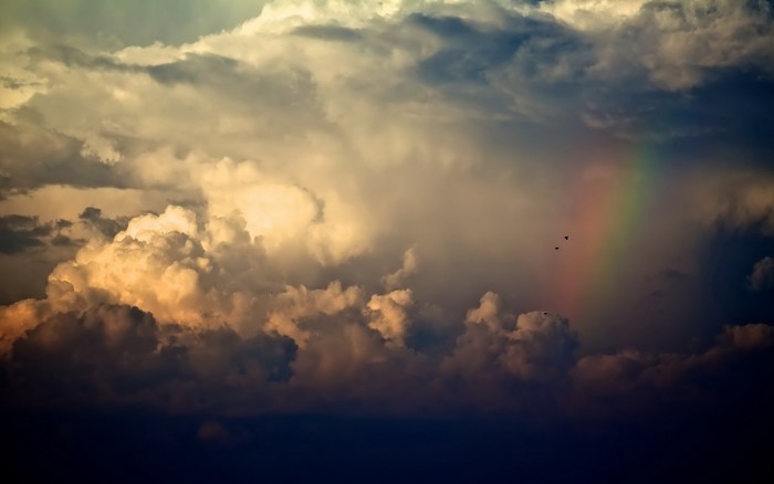 Storm clouds and rainbow with birds