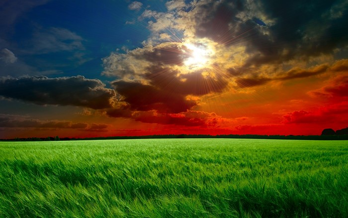 Green field at sunset with dramatic sky