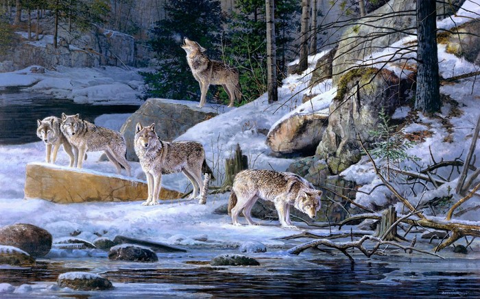 Wolves in a snowy forest by a river