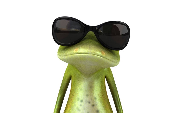 3D Frog Wearing Sunglasses