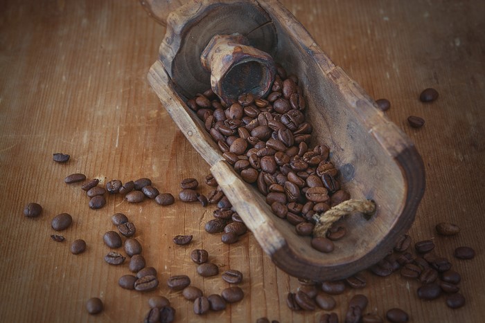 Coffee beans in a wooden scoop