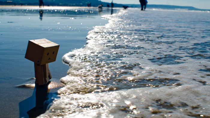 Danbo on a Beach with Waves
