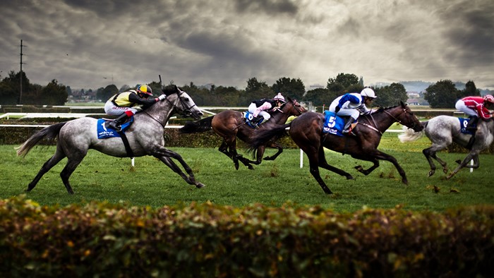 Horse race with jockeys on a grassy track
