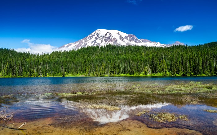 Mount Rainier reflected in a lake with evergreen forest