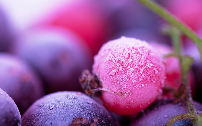 Frozen berries with frost
