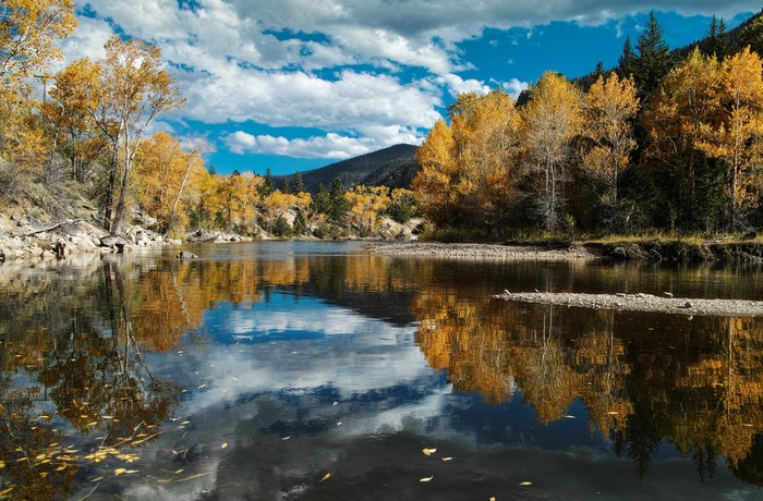 Autumn trees reflected in a calm lake under a cloudy sky