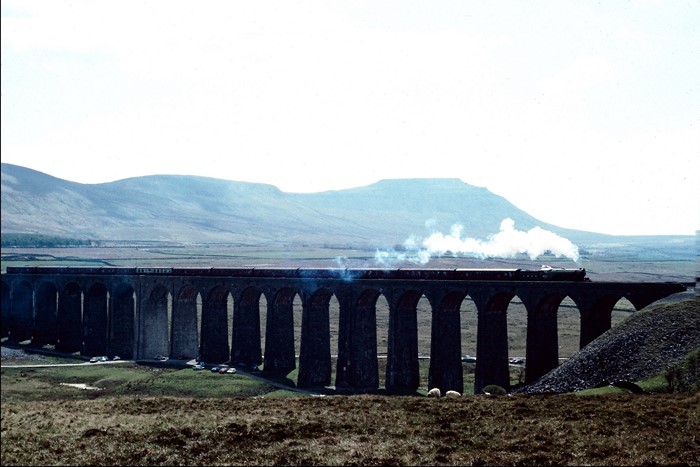 Steam train crossing a stone viaduct with mountains in background
