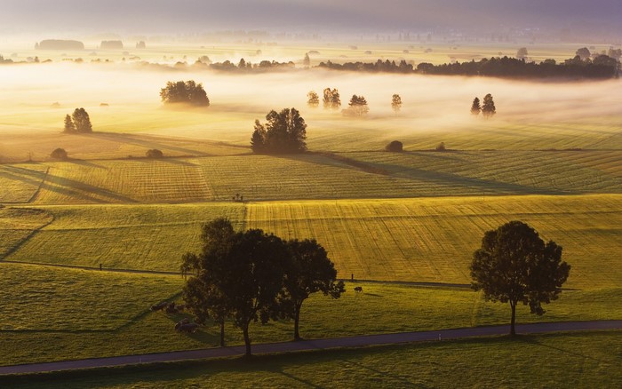 Foggy landscape with fields and trees at sunrise