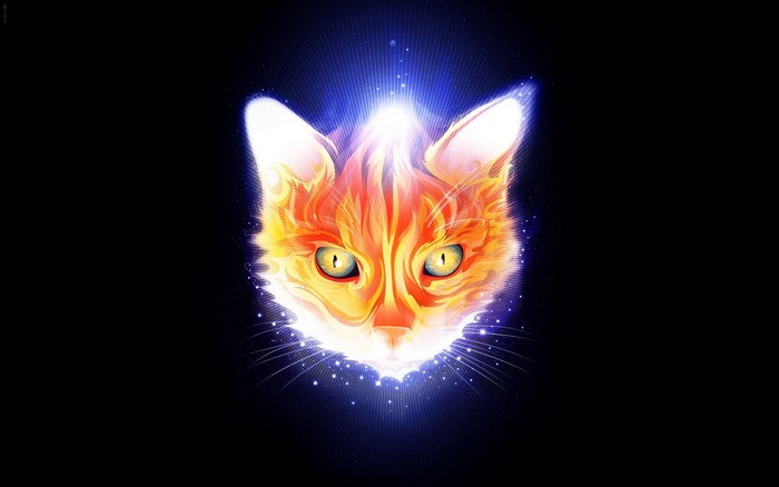 Orange cat with glowing blue aura