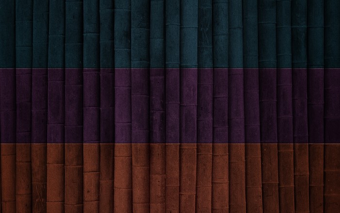 Dark Bamboo Texture with Color Stripes