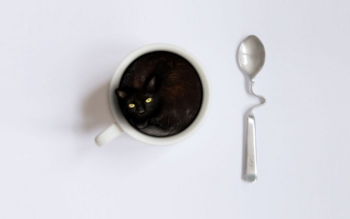Black cat in a coffee cup with a spoon