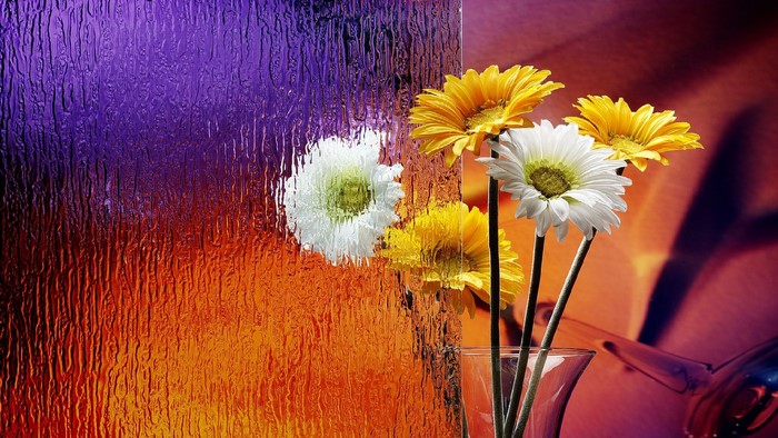 Gerbera flowers in a vase against textured glass