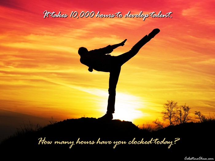 Silhouette of a martial artist kicking at sunset
