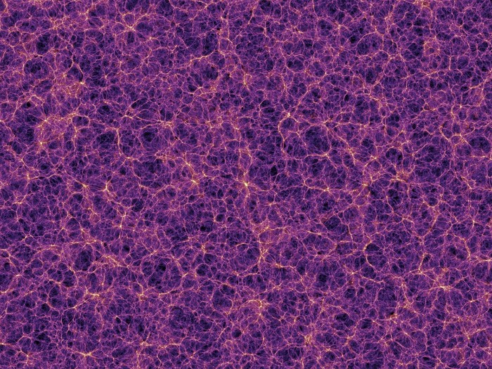 Cosmic Web Simulation
