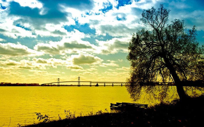 Bridge over water with a tree in the foreground