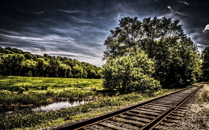 Railroad tracks through a grassy field with trees and a cloudy sky