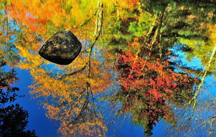 Colorful Fall Reflection of Trees and Rock in Water