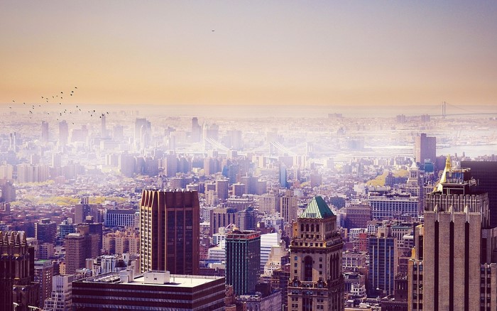 Cityscape with birds flying at sunset