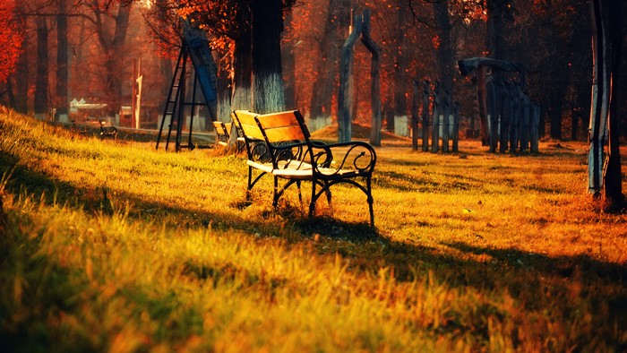 Park bench in autumn sunlight