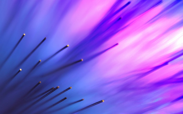 Abstract purple and pink fiber optics