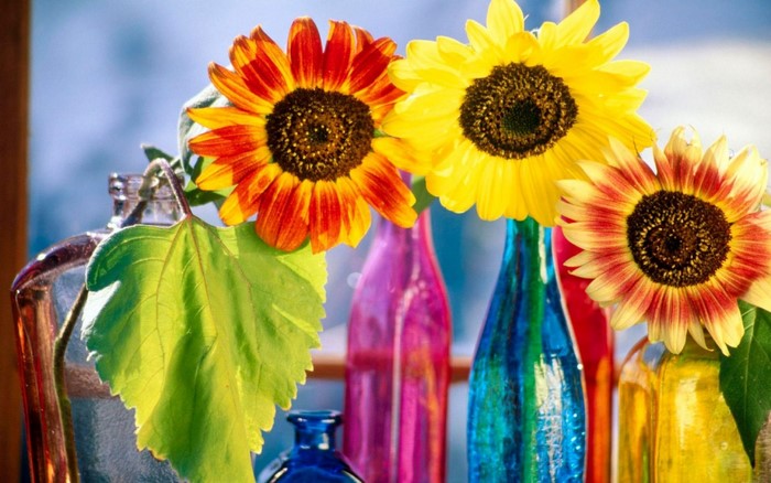 Sunflowers in colorful vases