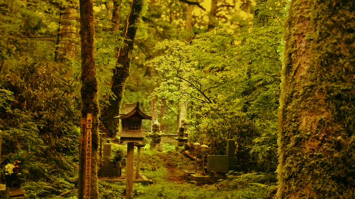 Mossy Forest Path with Stone Lanterns and Graves
