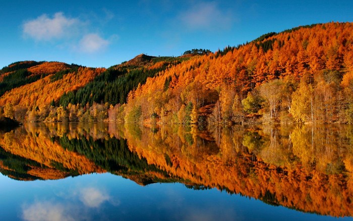 Autumn forest reflected in a lake