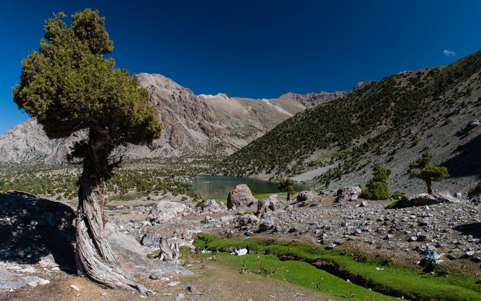 Mountain lake with trees and rocky terrain