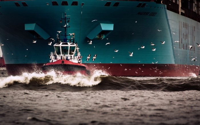 Maersk Essen Container Ship and Tugboat with Seagulls