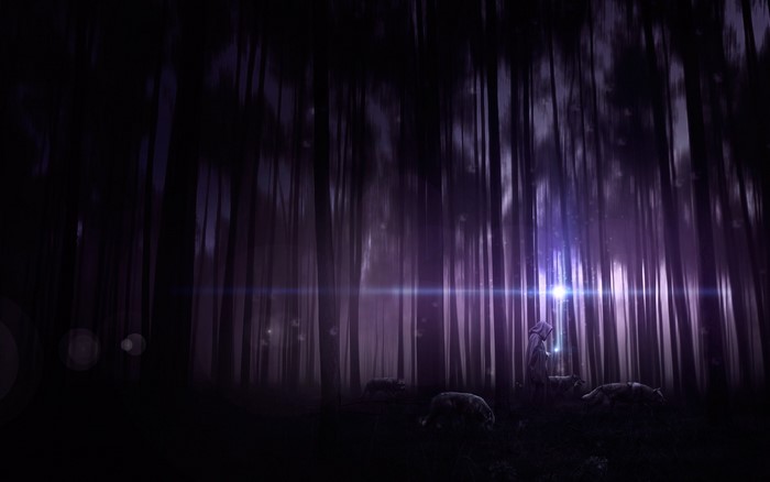 Fantasy wizard with wolves in a dark forest