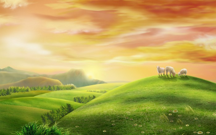 Sheep grazing on green hills at sunset