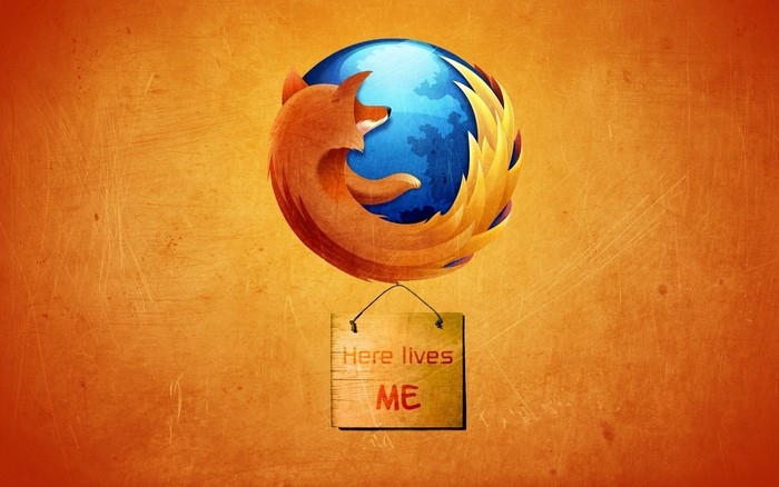Firefox logo with a sign