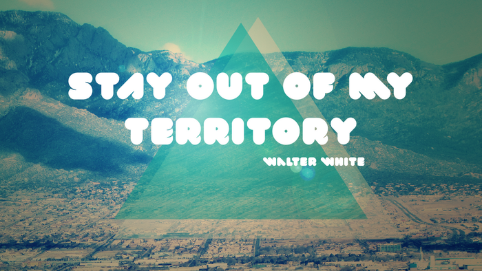 Stay Out of My Territory Quote by Walter White