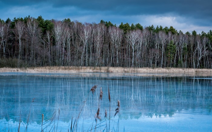 Frozen lake reflecting a forest under a cloudy sky